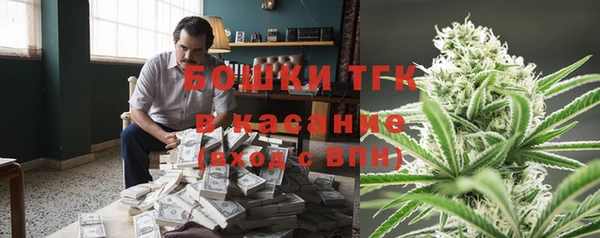 ешки Алексин