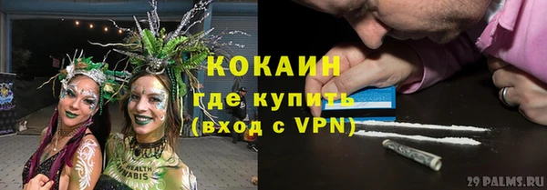 ешки Алексин
