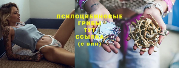 мяу мяу мука Абинск