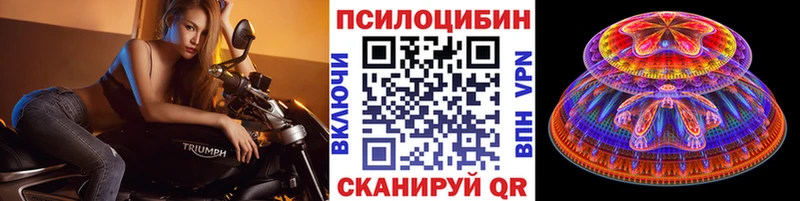 купить   Нолинск  Псилоцибиновые грибы прущие грибы 